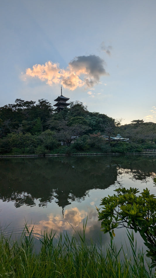 Japón