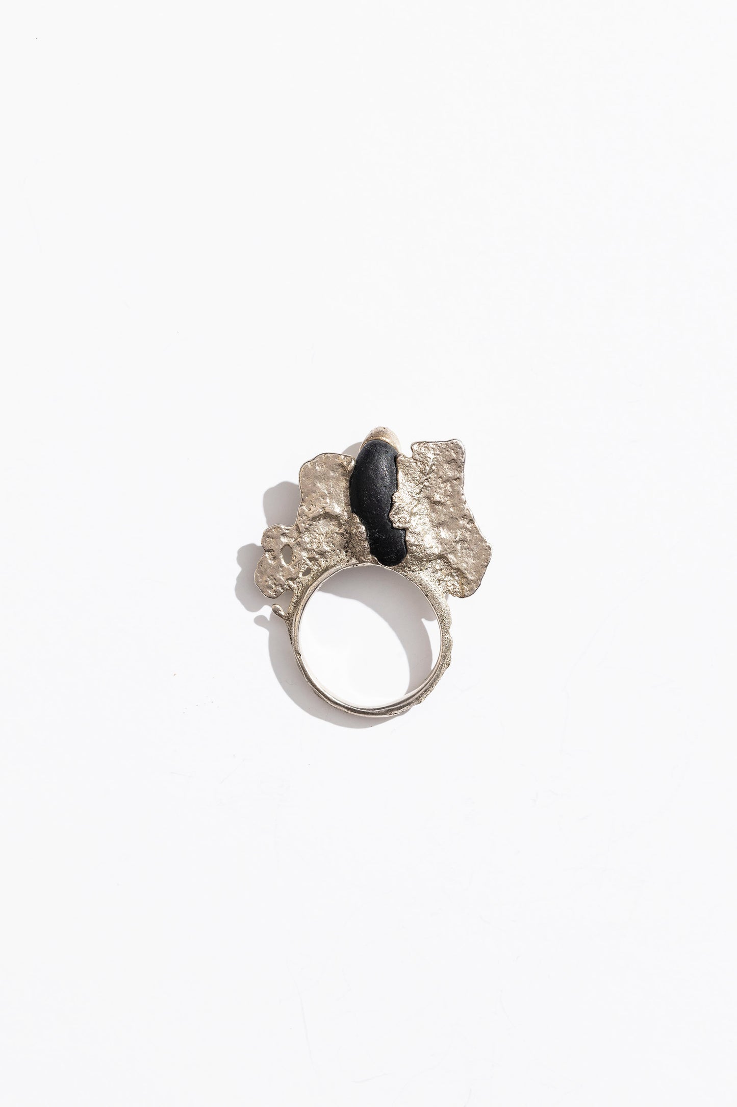 Anillo Código de nacimiento