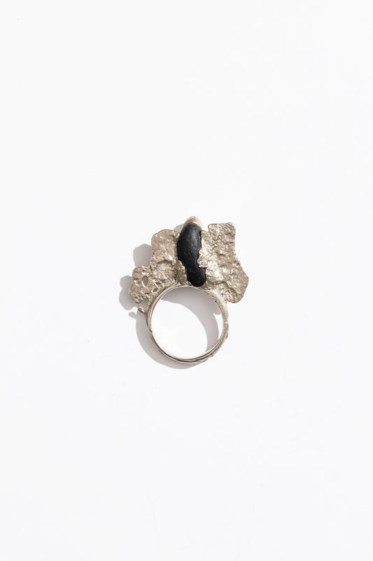 Anillo Código de nacimiento