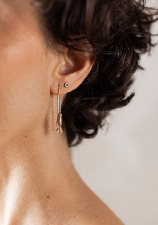 Arete Ser Silvestre