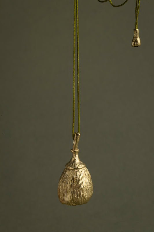 Campana Silvestre