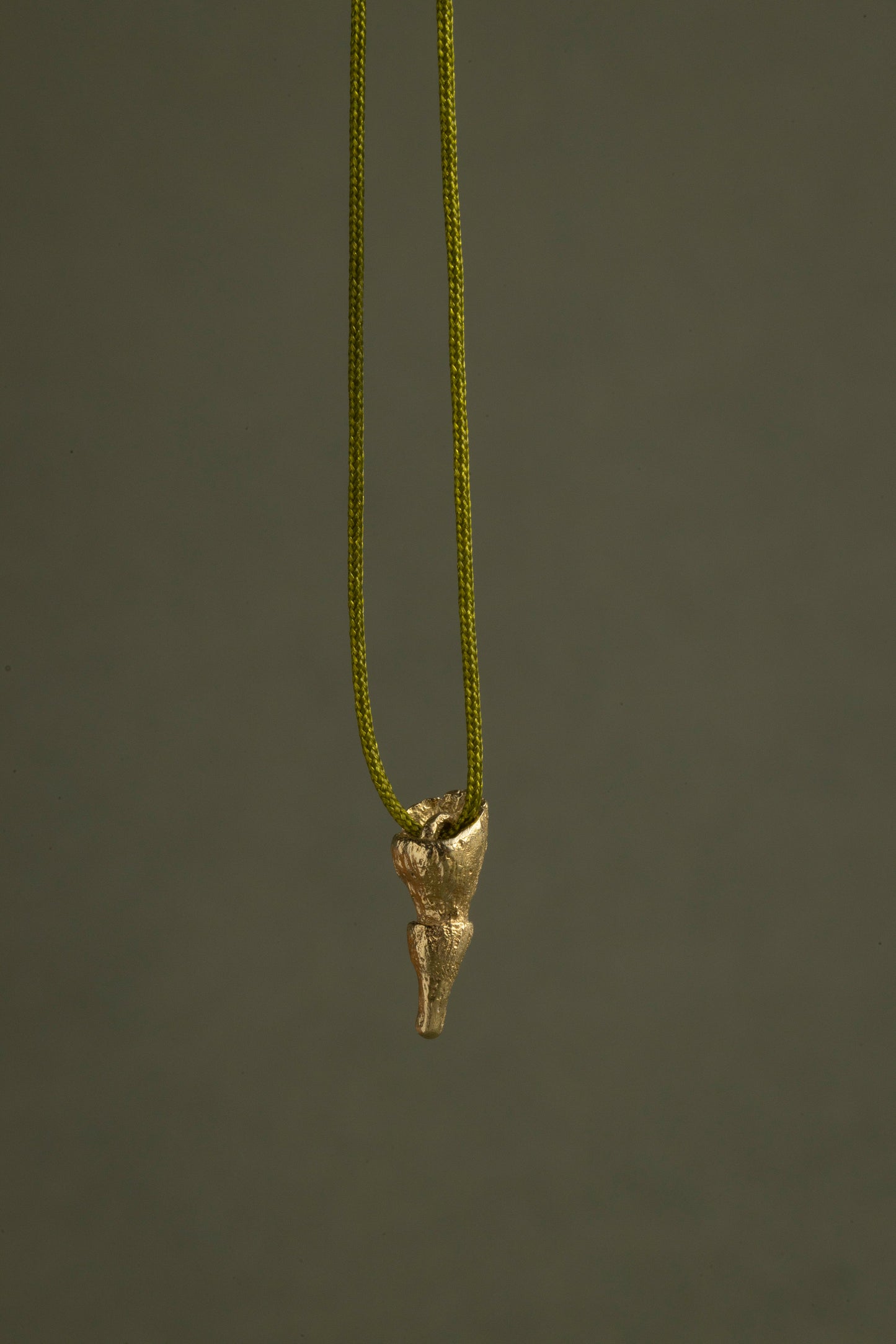 Collar Semilla Silvestre