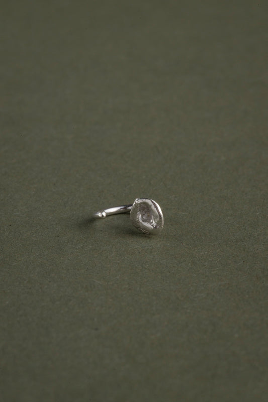 Arete Media flora